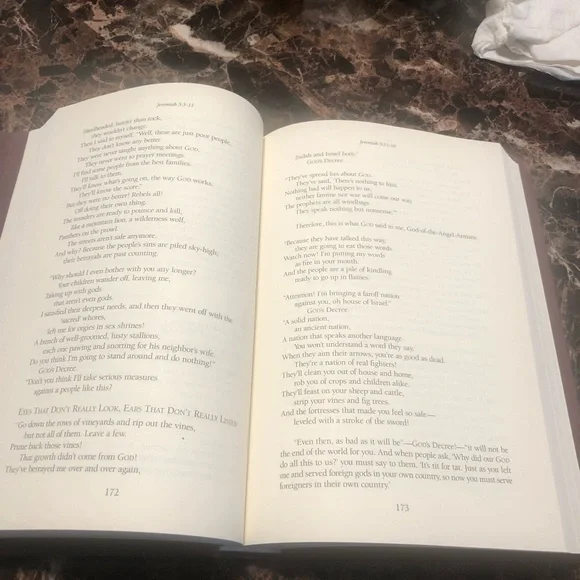 The Message the Old Testament Prophets by Peterson 2000 - Picture 9 of 15